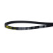 Ремень клиновой В 61  17x1550 Li/1595 Ld PowerSpan CL by ContiTech (шт)
