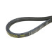 Ремень клиновой В 48  17x1220 Li/1265 Ld PowerSpan CL by ContiTech (шт)