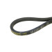 Ремень клиновой В 48  17x1220 Li/1265 Ld PowerSpan CL by ContiTech (шт)